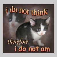 I Do Not Think Therefore I Do Not Am Cat Meme Tie-Dye T-Shirt