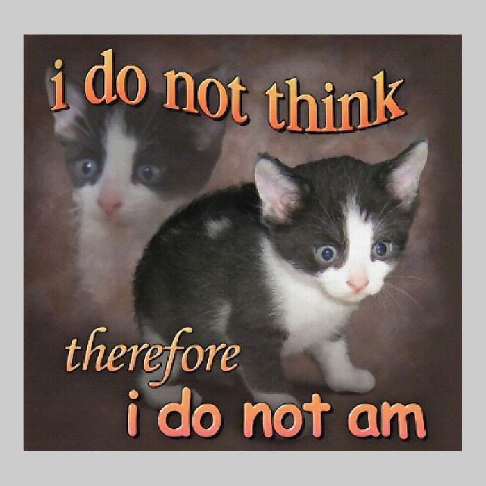 I Do Not Think Therefore I Do Not Am Cat Meme Tie-Dye T-Shirt