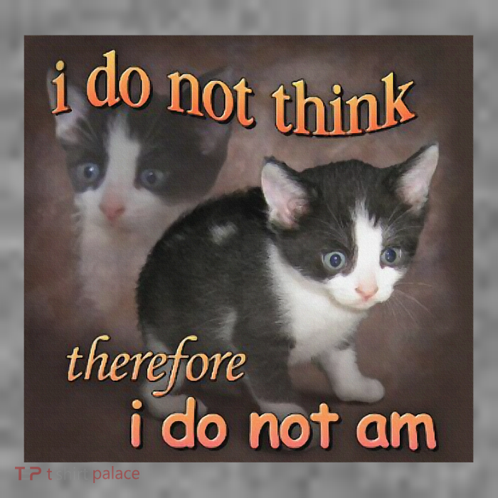 I Do Not Think Therefore I Do Not Am Cat Meme Sustainable Beanie