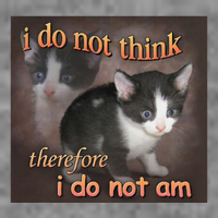 I Do Not Think Therefore I Do Not Am Cat Meme Toddler Sweatshirt