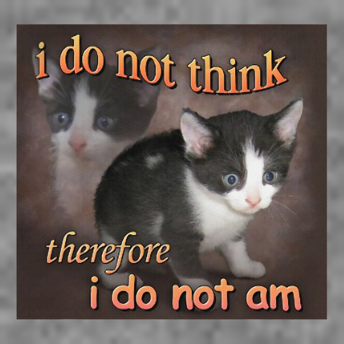 I Do Not Think Therefore I Do Not Am Cat Meme Toddler Sweatshirt