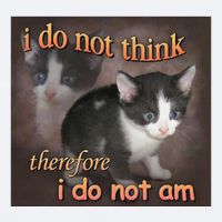 I Do Not Think Therefore I Do Not Am Cat Meme Sueded Cloud Jersey T-Shirt