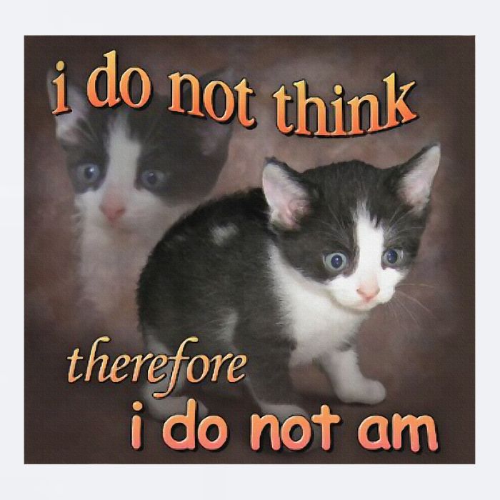 I Do Not Think Therefore I Do Not Am Cat Meme Sueded Cloud Jersey T-Shirt