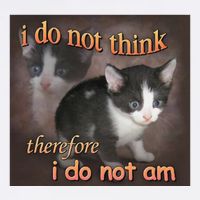 I Do Not Think Therefore I Do Not Am Cat Meme Button