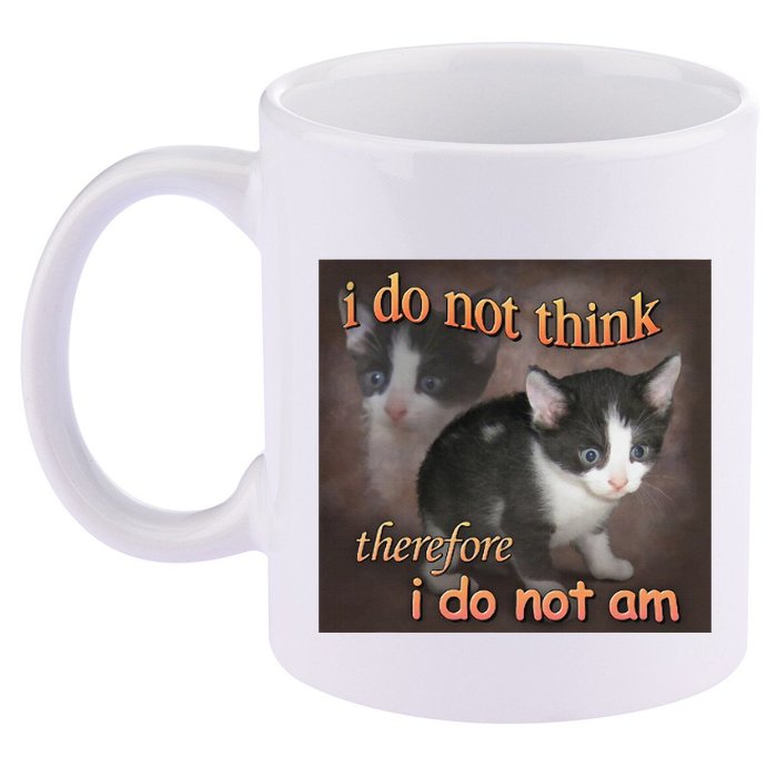 I Do Not Think Therefore I Do Not Am Cat Meme 11oz C Handle Ceramic Mug