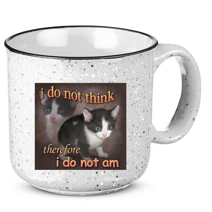 I Do Not Think Therefore I Do Not Am Cat Meme 15oz Campfire Ceramic Mug