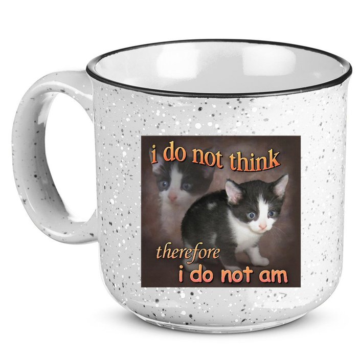 I Do Not Think Therefore I Do Not Am Cat Meme 15oz Campfire Ceramic Mug
