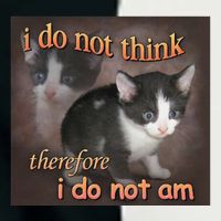 I Do Not Think Therefore I Do Not Am Cat Meme Infant Baby Jersey Bodysuit