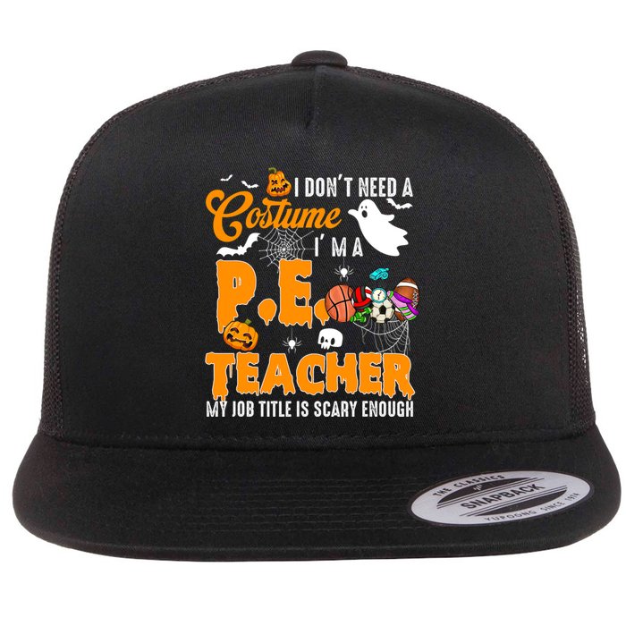 I Don't Need A Costume I'm A PE Teacher Halloween Costume Flat Bill Trucker Hat