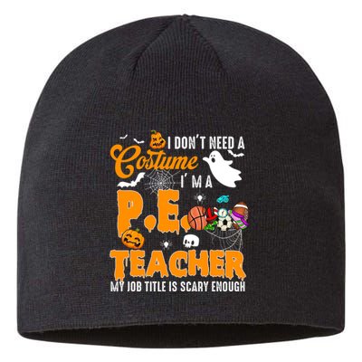 I Don't Need A Costume I'm A PE Teacher Halloween Costume Sustainable Beanie