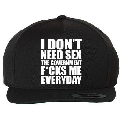 I Dont Need Sex The Goverment Fucks Me Everyday Funny Wool Snapback Cap