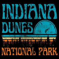 Indiana Dunes National Park Lake Michigan Retro Sunset Tall T-Shirt