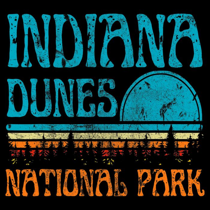 Indiana Dunes National Park Lake Michigan Retro Sunset Tall T-Shirt