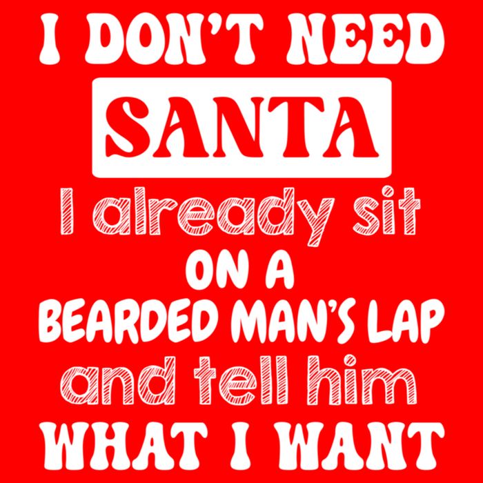 I DonT Need Santa I Already Sit On A Bearded ManS Lap Apron