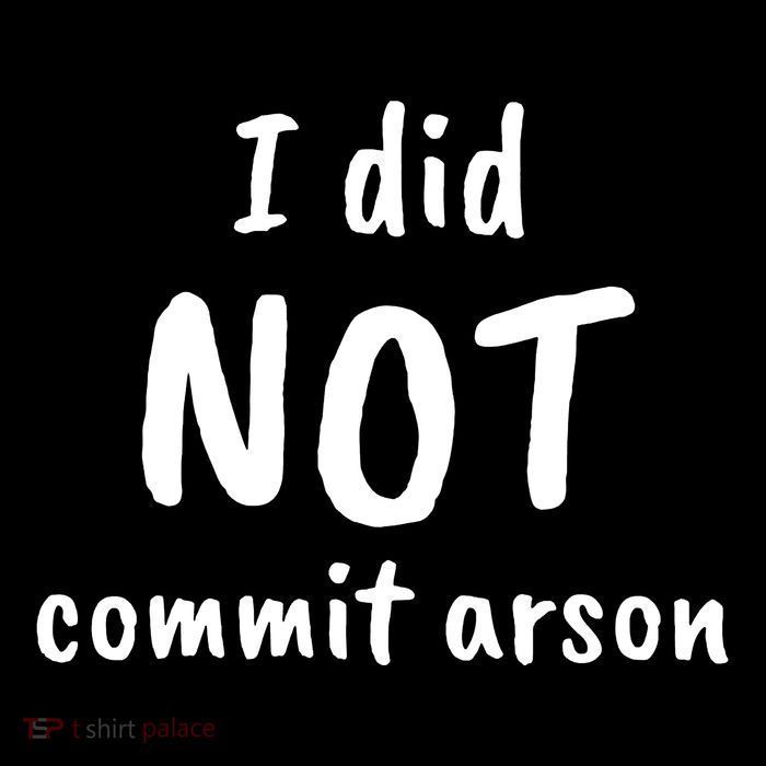 I Did Not Commit Arson Quote Hooded Wearable Blanket