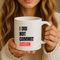 I Did Not Commit Arson Funny Quote Mug