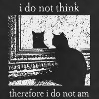 I Do Not Think Therefore I Do Not Am Cat Meme 11oz C Handle Ceramic Mug