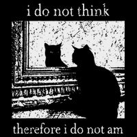 I Do Not Think Therefore I Do Not Am Cat Meme Baby Bodysuit
