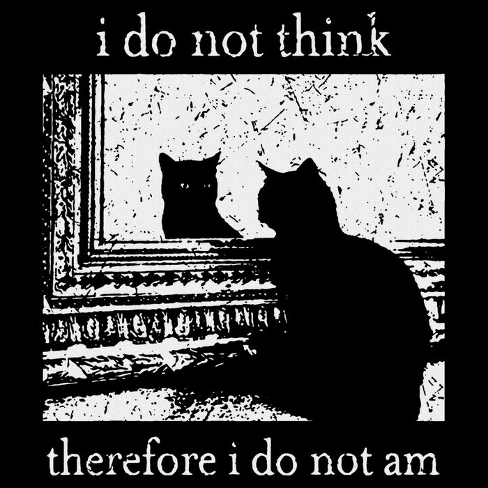 I Do Not Think Therefore I Do Not Am Cat Meme Baby Bodysuit