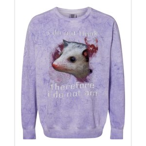 I Do Not Think Therefore I Do Not Am Possum Space Colorblast Crewneck Sweatshirt