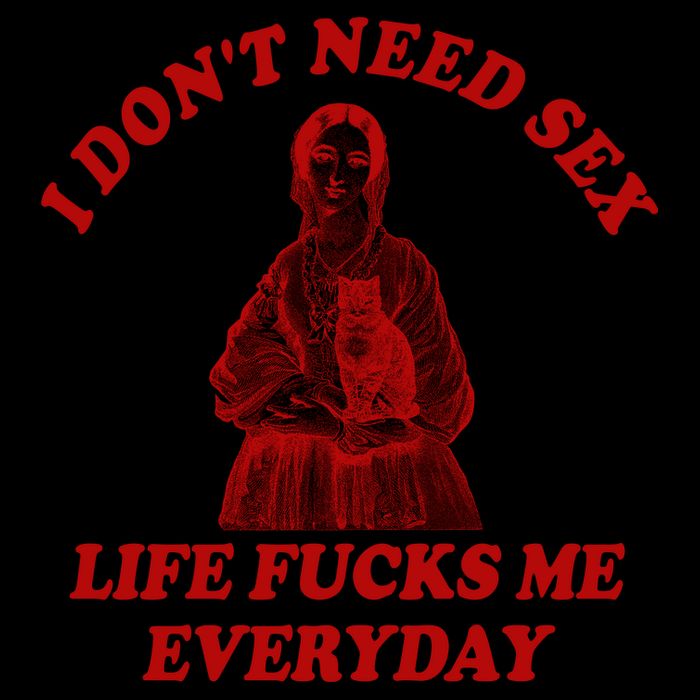I Dont Need Sex Life Fucks Me Everyday Funny 16 in Basic Backpack