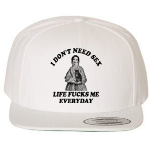 I Dont Need Sex Life Fucks Me Everyday Funny Wool Snapback Cap