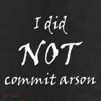 I Did Not Commit Arson Funny Quote Beanie