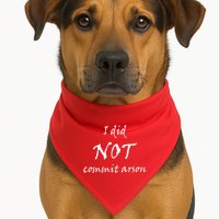 I Did Not Commit Arson Funny Quote USA-Made Doggie Bandana