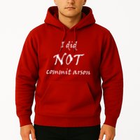 I Did Not Commit Arson Funny Quote Hoodie