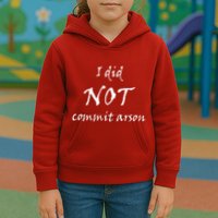 I Did Not Commit Arson Funny Quote Kids Hoodie