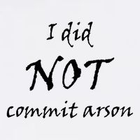 I Did Not Commit Arson Funny Quote Garment-Dyed Sweatshirt