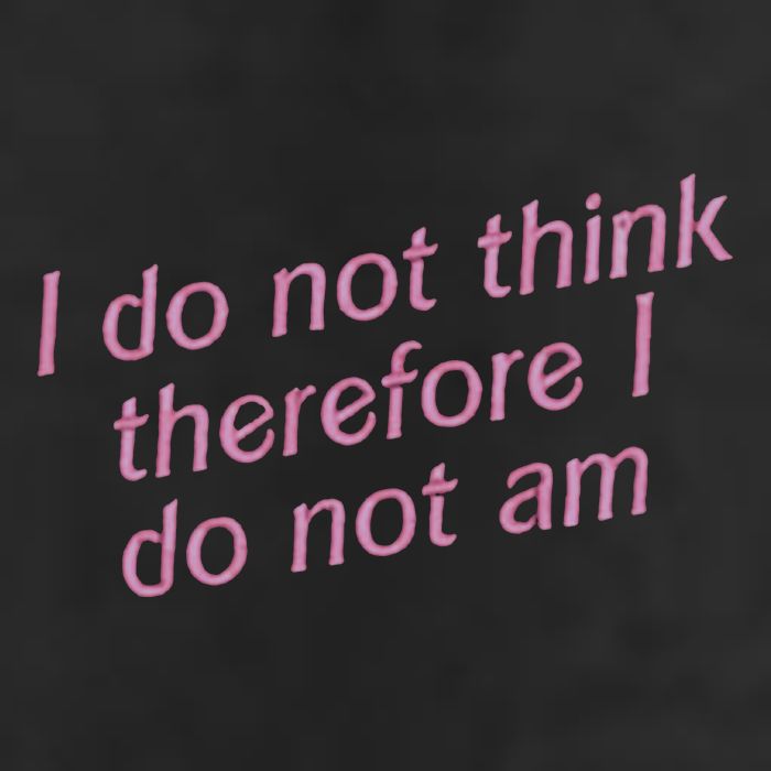 I Do Not Think Therefore I Do Not Am Beanie