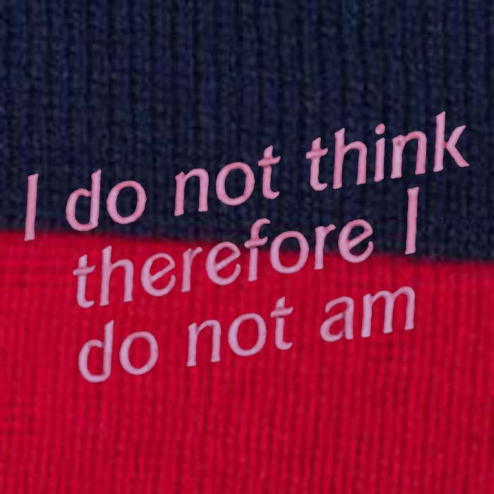 I Do Not Think Therefore I Do Not Am Pom Pom 12in Knit Beanie