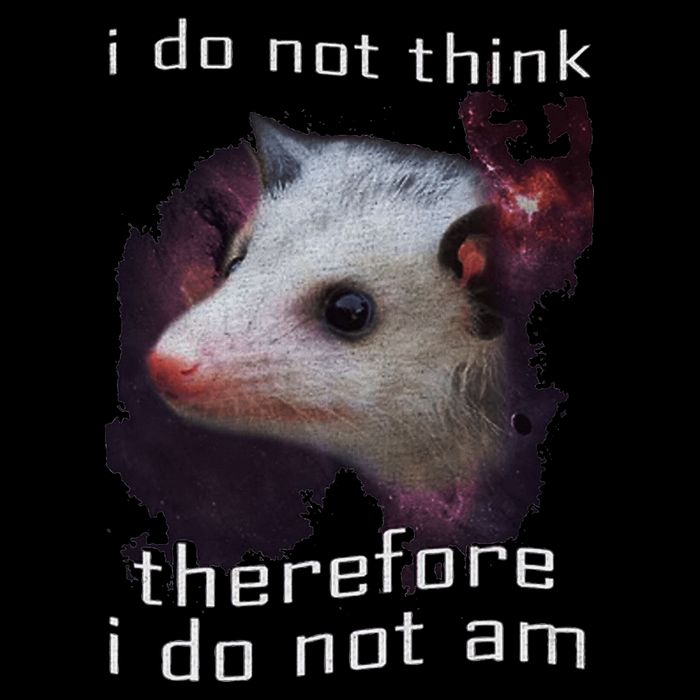 I Do Not Think Therefore I Do Not Am Possum 16 in Basic Backpack