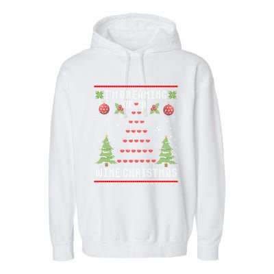 I'm Dreaming Of A Wine Christmas Ugly Xmas Sweater Gift Garment-Dyed Fleece Hoodie