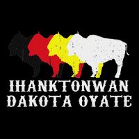 Ihanktonwan Dakota Oyate Yankton Sioux Medicine Wheel 16 in Basic Backpack