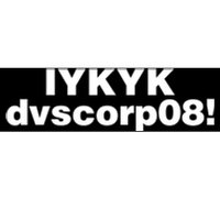 Iykyk Dvscorp08! Password Funny Georgia Voter Sarcasm Humor Bumper Sticker