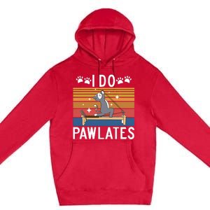 I Do Pawlates Cat Pilates Premium Pullover Hoodie