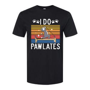 I Do Pawlates Cat Pilates Softstyle CVC T-Shirt