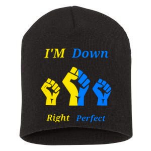 I'm Down Right Perfect Down Syndrome Day Socks Gift Short Acrylic Beanie