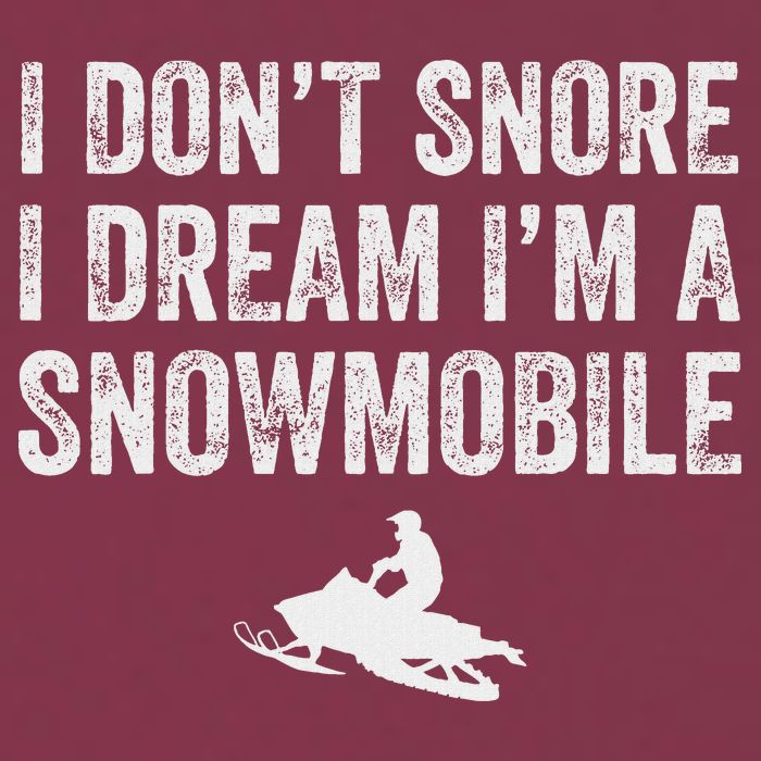 I DonT Snore I Dream IM A Snowmobile Funny Snoring 16oz Travel Tumbler