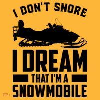 I Don't Snore I Dream That I'm A Snowmobile Pom Pom 12in Knit Beanie