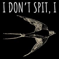I DonT Spit I Swallow Funny Bird Watching Bird Watcher Button