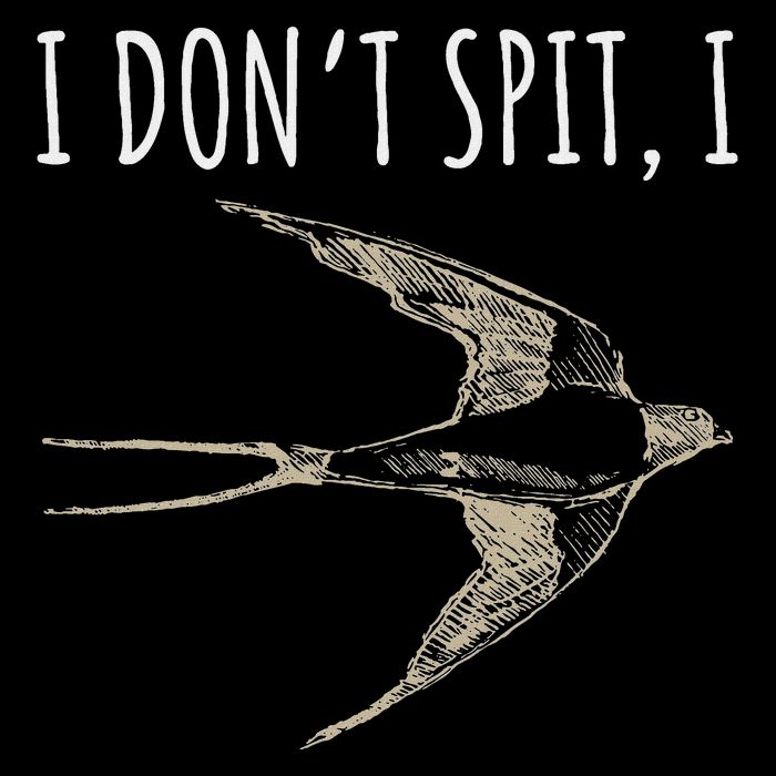 I DonT Spit I Swallow Funny Bird Watching Bird Watcher Button