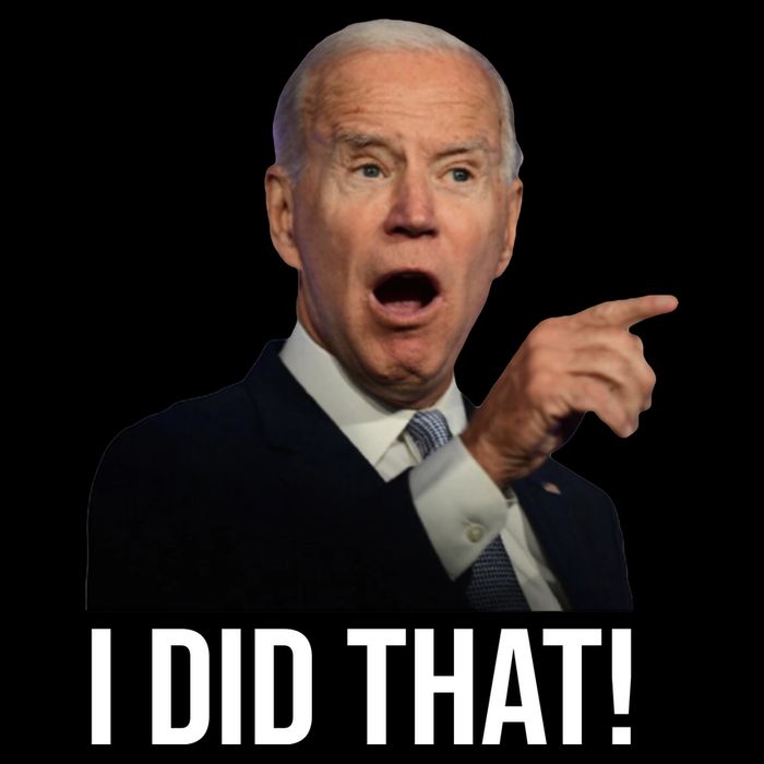 I Did That Funny Joe Biden Apron