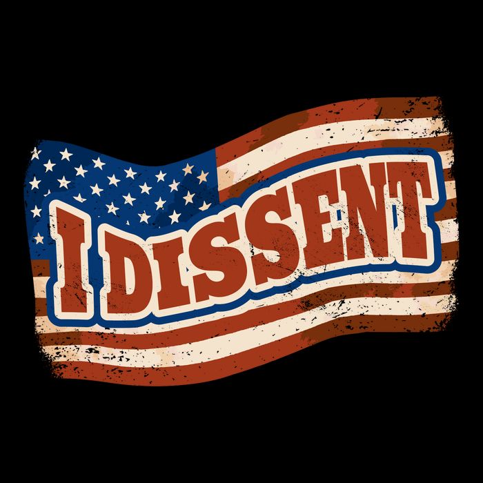 I Dissent USA Flag Vintage Poster