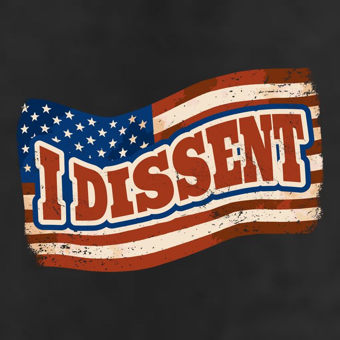 I Dissent USA Flag Vintage Hat