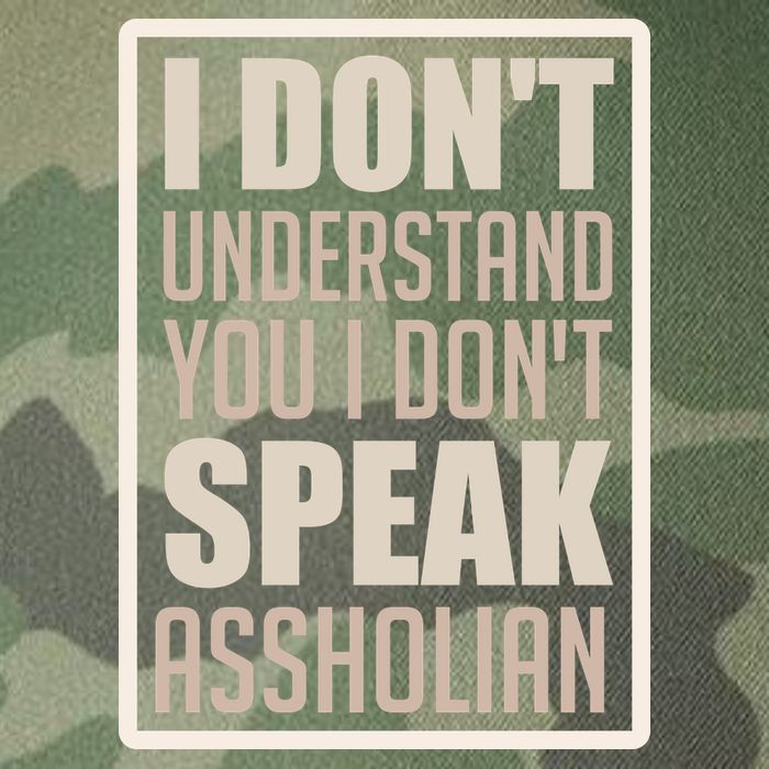 I Don't Understand You I Don't Speak Assholian Funny Legacy Tie Dye Trucker Hat