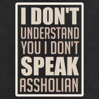 I Don't Understand You I Don't Speak Assholian Funny 7 Panel Mesh Trucker Snapback Hat