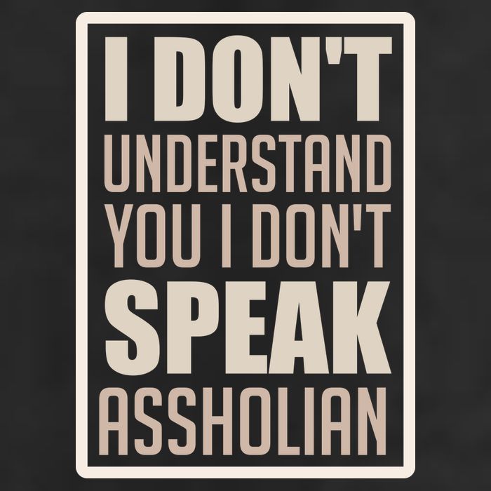 I Don't Understand You I Don't Speak Assholian Funny 7 Panel Mesh Trucker Snapback Hat